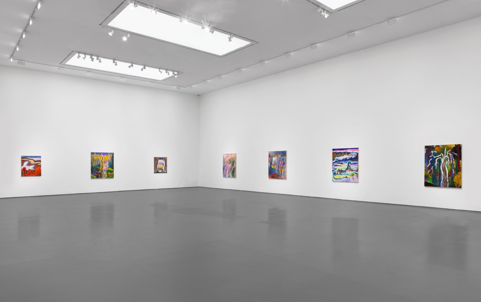 Installation view of Paintings by Shara Hughes