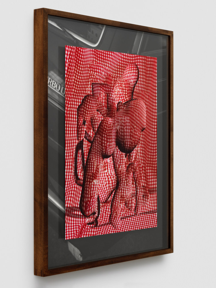 work by lucas blalock