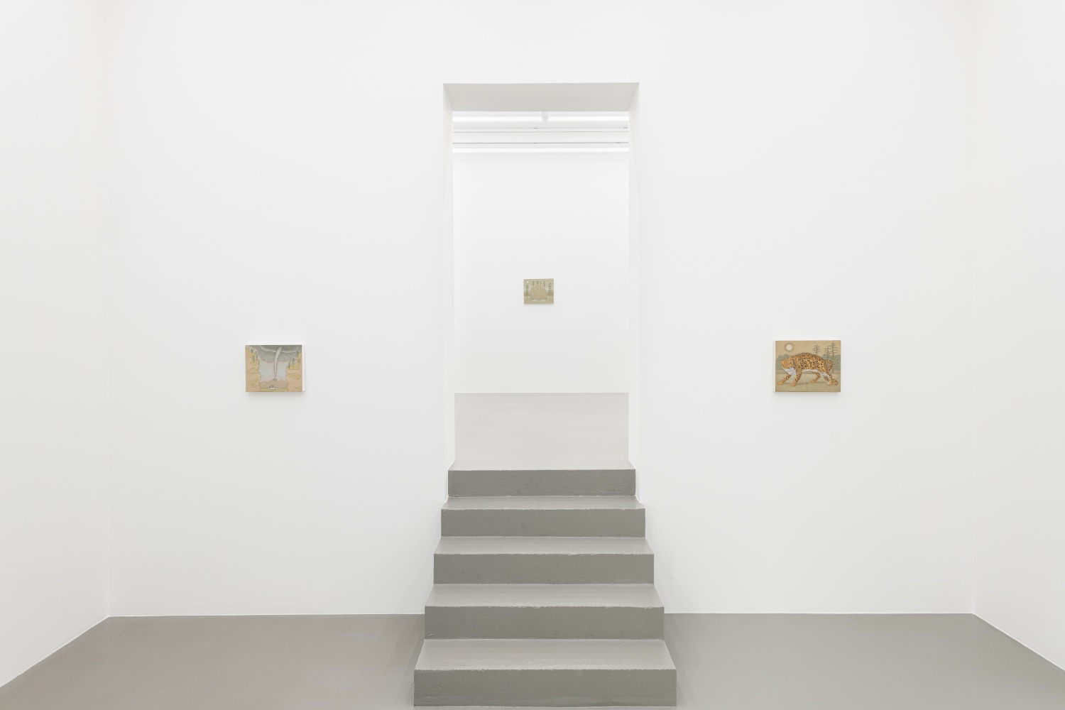 installation view John Dilg