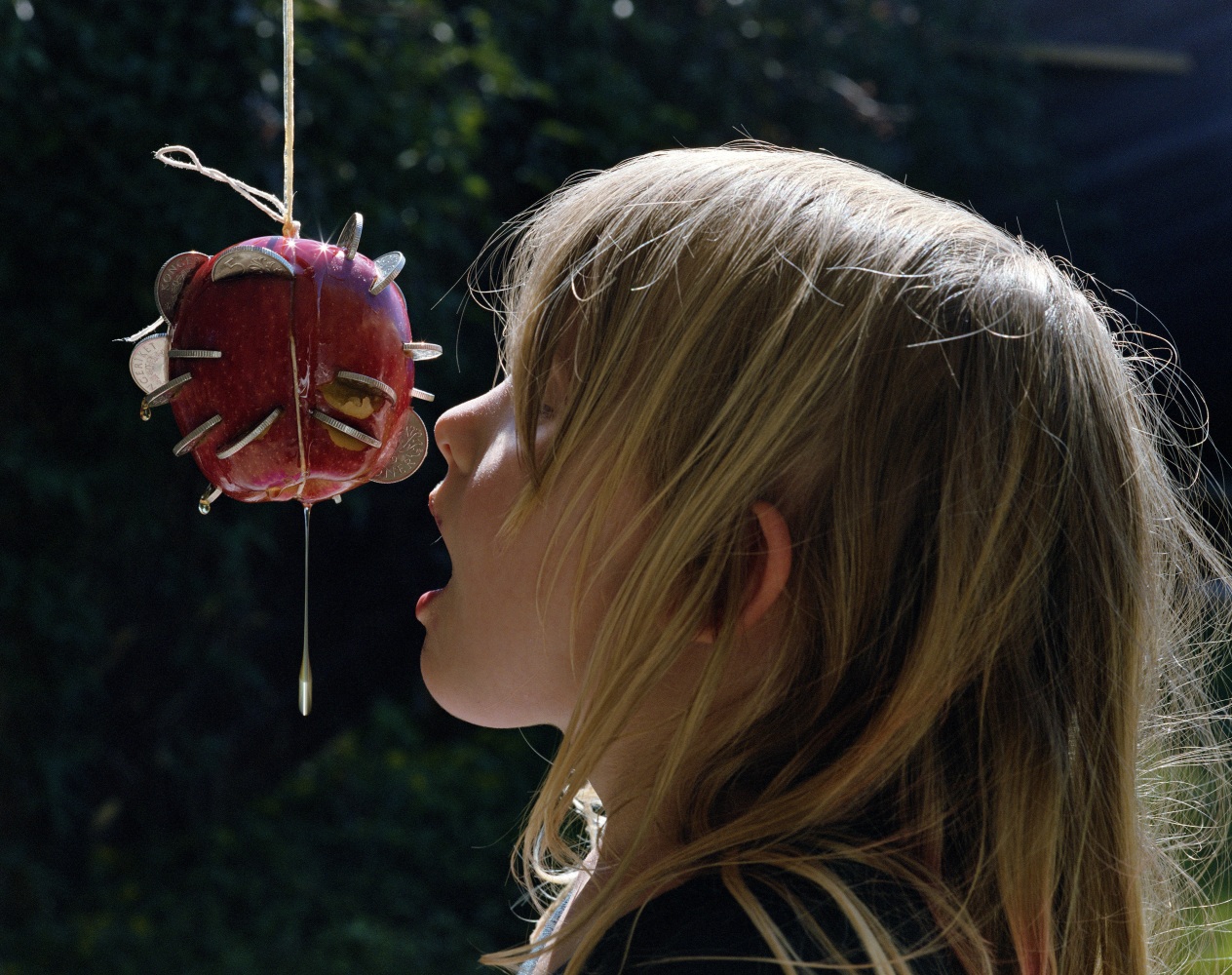 Torbjørn Rødland Apple 2006 Chromogenic print