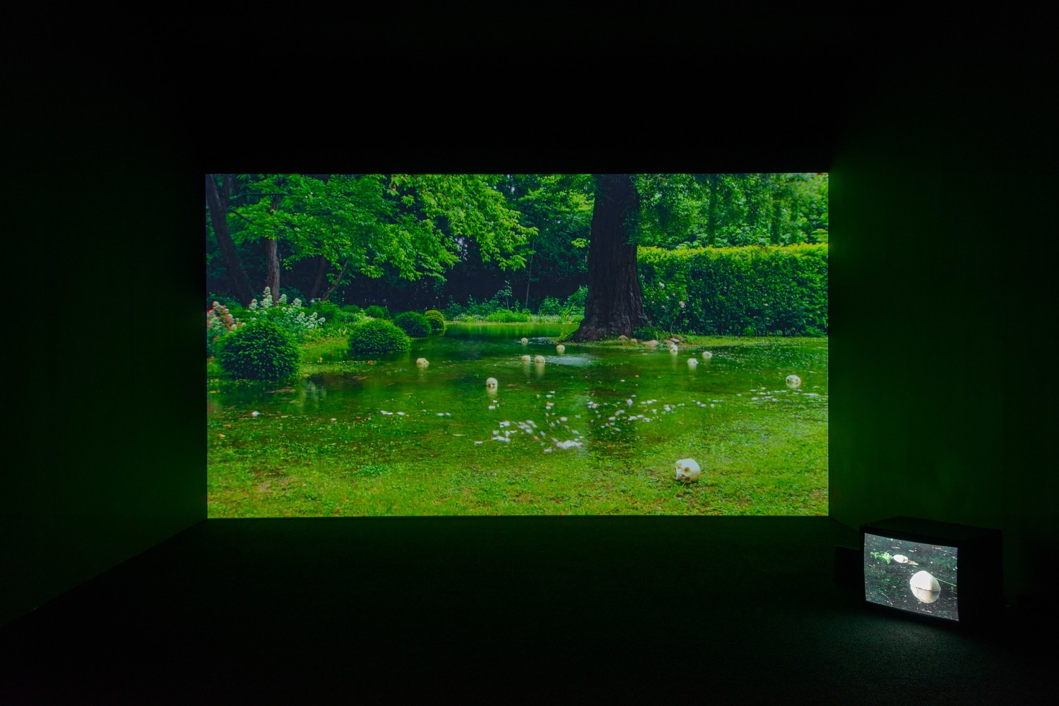 Installation view of video work by Douglas Gordon