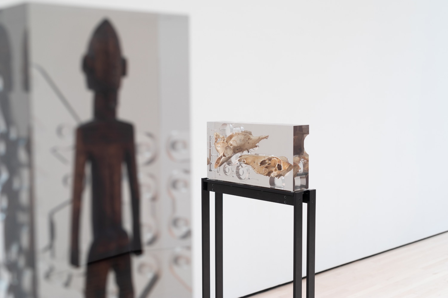 Installation view of sculptures by Matthew Angelo Harrison