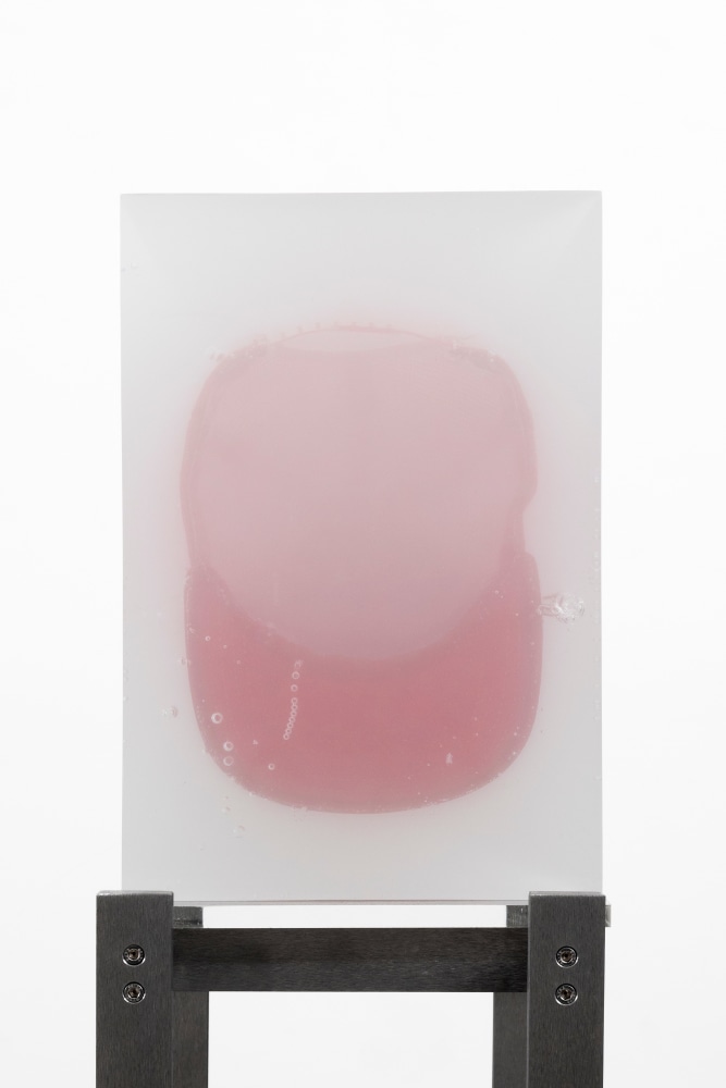 MATTHEW ANGELO HARRISON
Fog of American Ghosts
2024
Autoworkers hat, polyurethane resin, steel, acrylic
Sculpture 37 x 23 x 25 cm / 14 1/2 x 9 x 9 7/8 in
Pedestal 112 x 30.5 x 25.5 cm / 44 1/8 x 12 x 10 in
HARRI60086