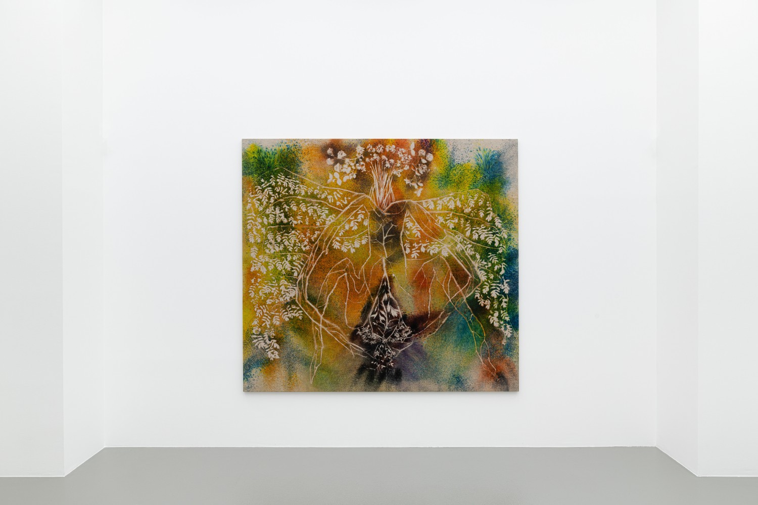 Installation view, Sam Falls, Vienna