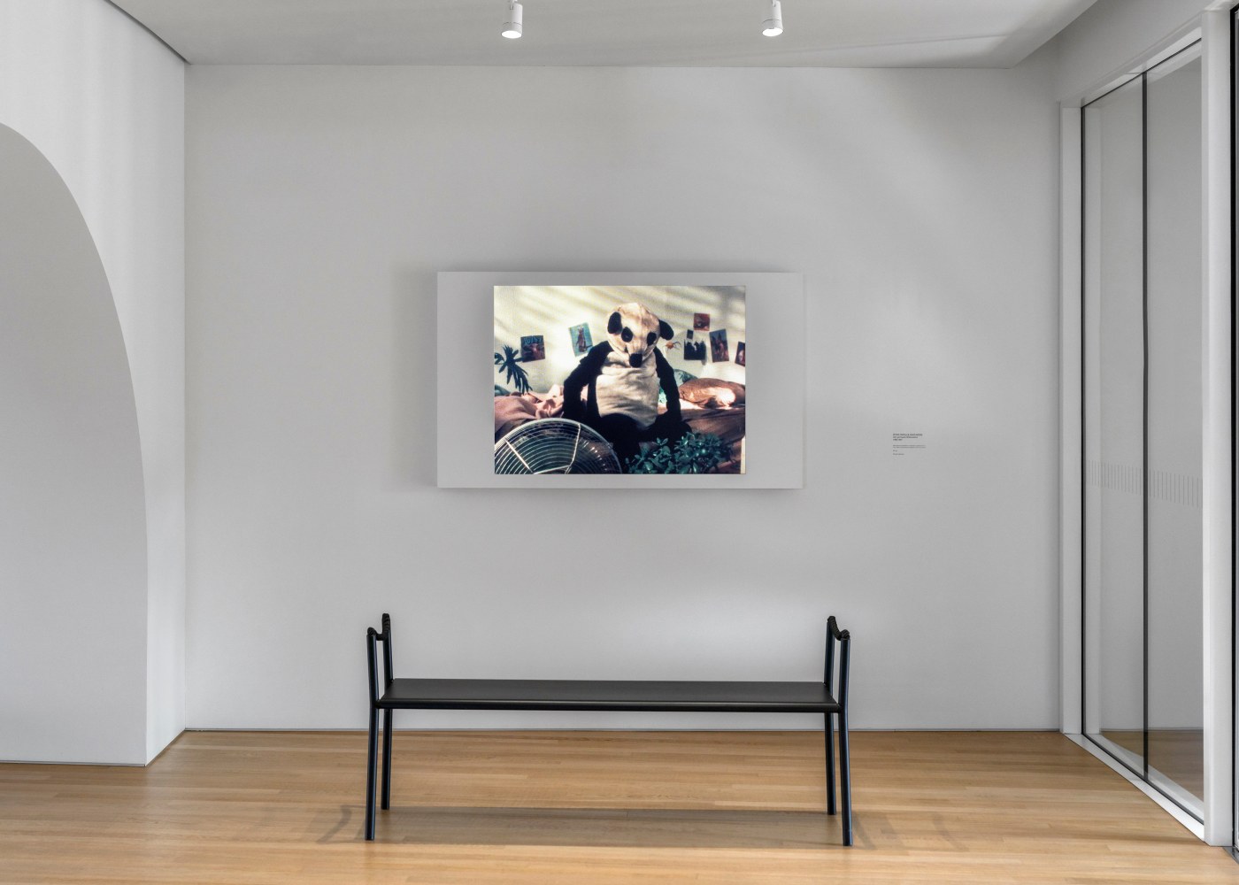 Installation view, Peter Fischli David Weiss, Suddenly This Overview, Pinault Collection, Bourse de Commerce, Paris, 2024