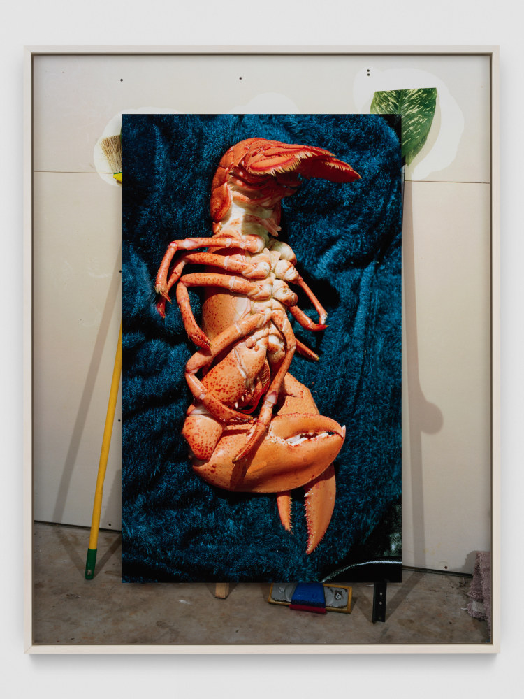 artwork by Lucas Blalock