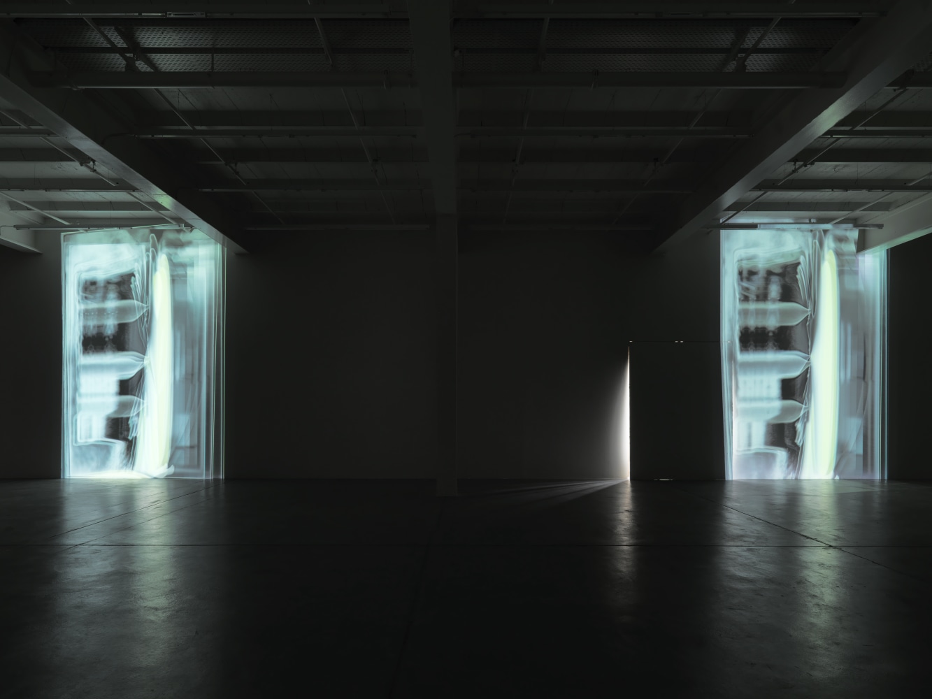 Film installation by Trisha Donnelly