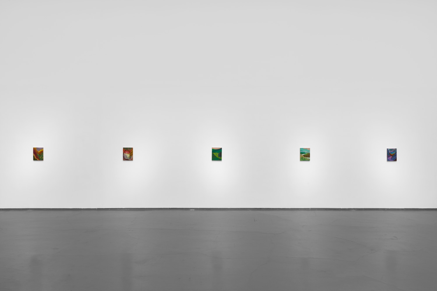 Installation view of Paintings by Shara Hughes