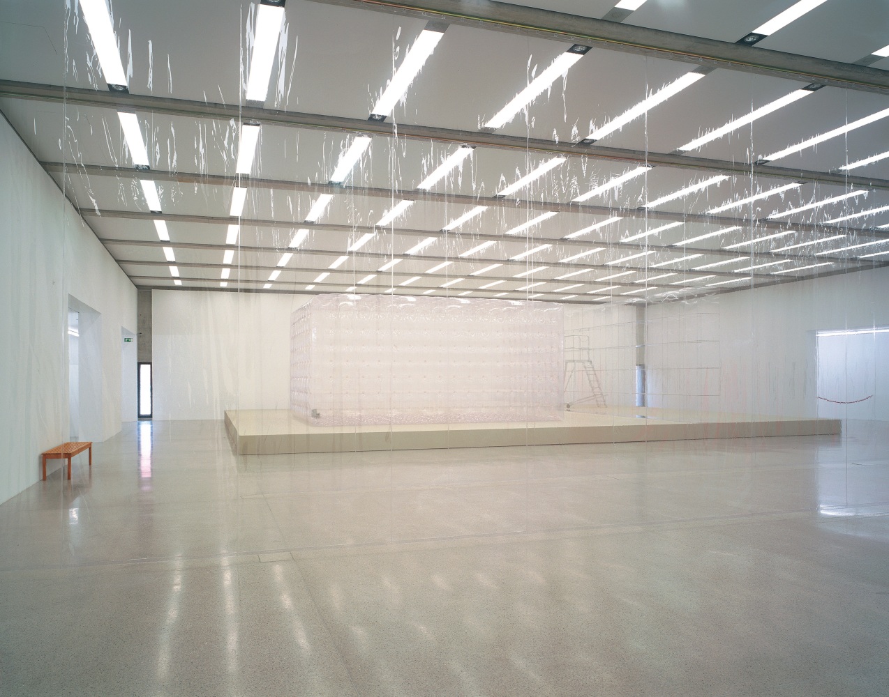 Installation view of wall works by Gerwald Rockenschaub