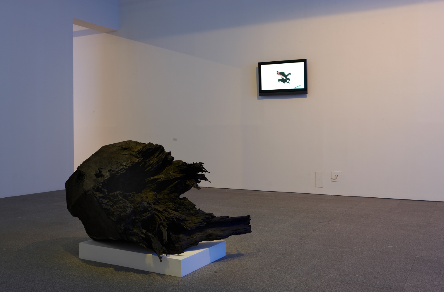 Installation view of sculpture and video work by Peter Fischli and David Weiss