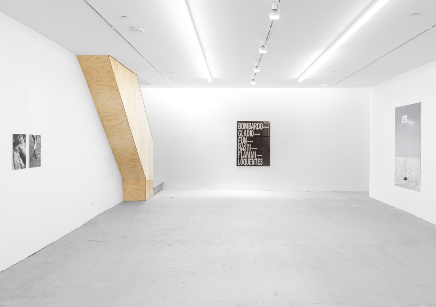 Installation view of photographs by Shannon Ebner