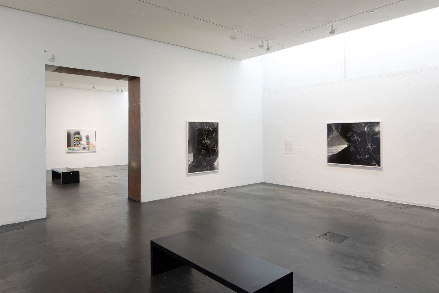 Installation view of photographs by Torbjørn Rødland