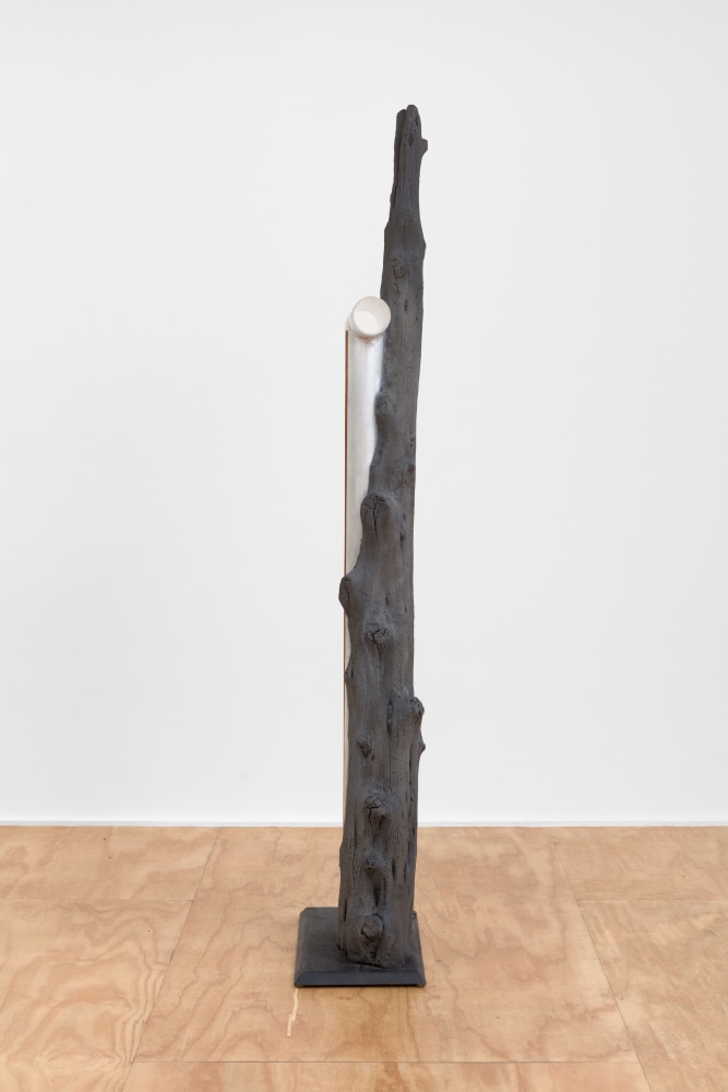 work by oscar tuazon