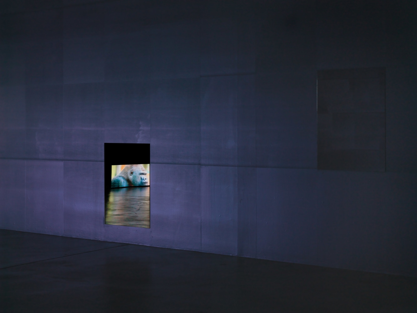 Installation view of Douglas Gordon film and installation exhibition