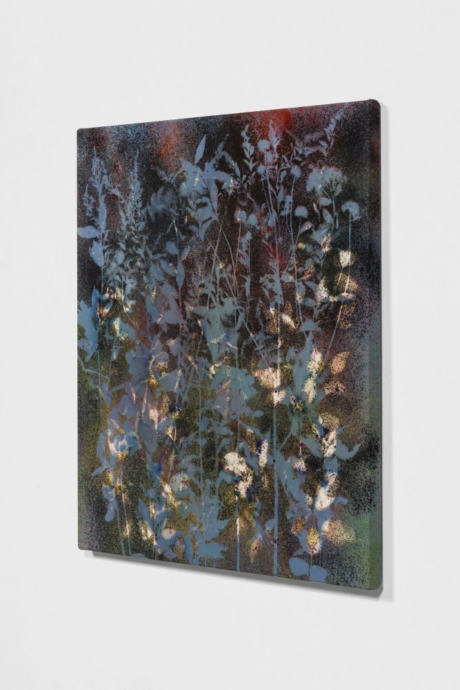 FARM FIELD WALK, 2020, Side view