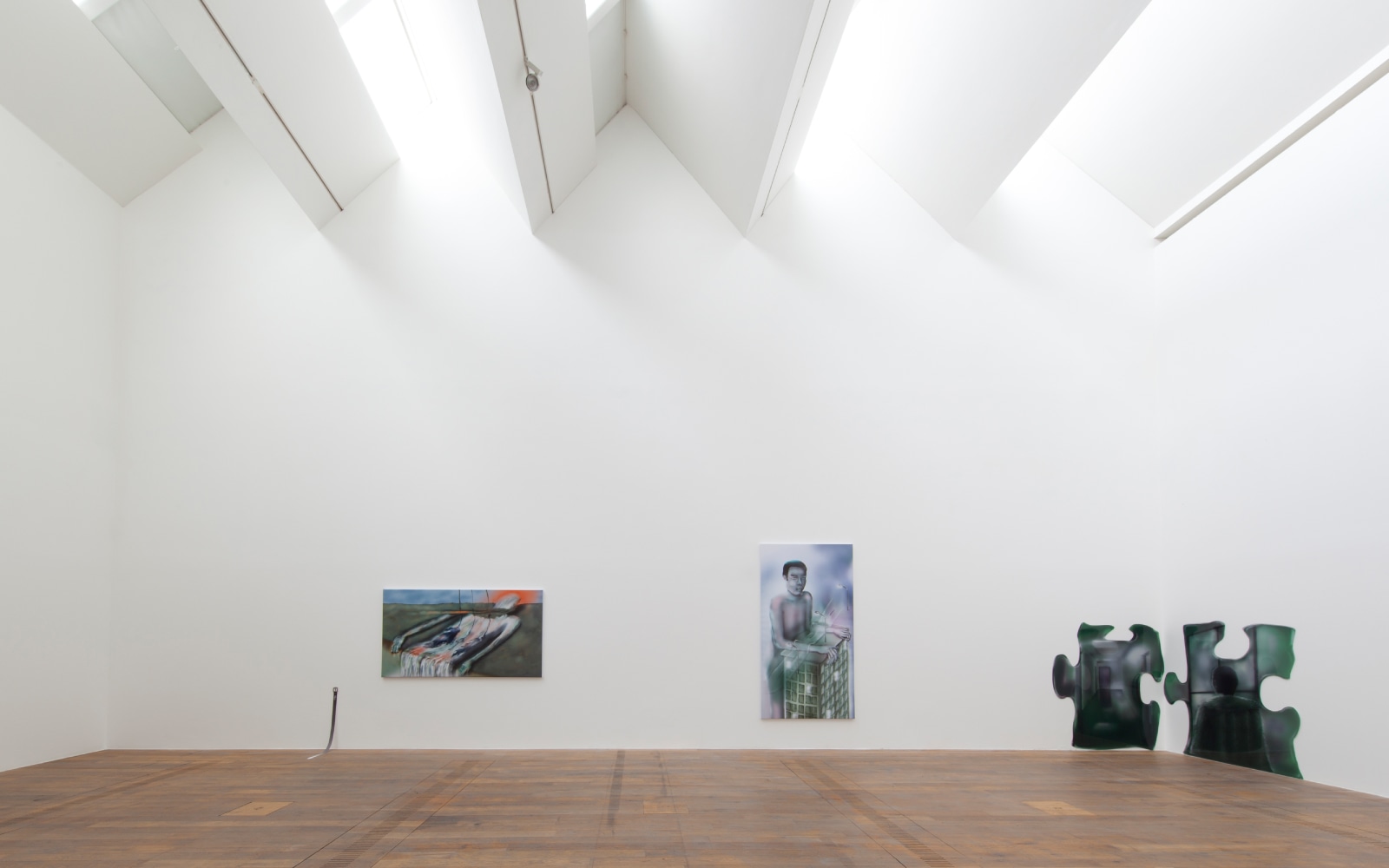 Installation view of paintings by Louisa Gagliardi