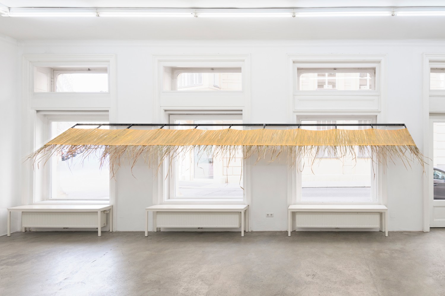 Transition 3 

2020

Palm leaves, latex, steel, aluminium wire, talcon, silicone oil

dimensions variable

&amp;copy; Liesl Raff