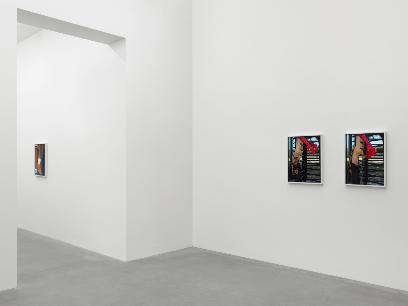 Installation view of Torbjørn Rødland photography and film exhibition
