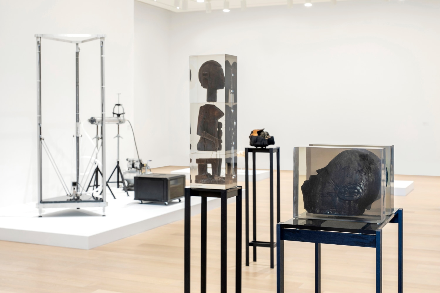 Installation view of sculptures by Matthew Angelo Harrison