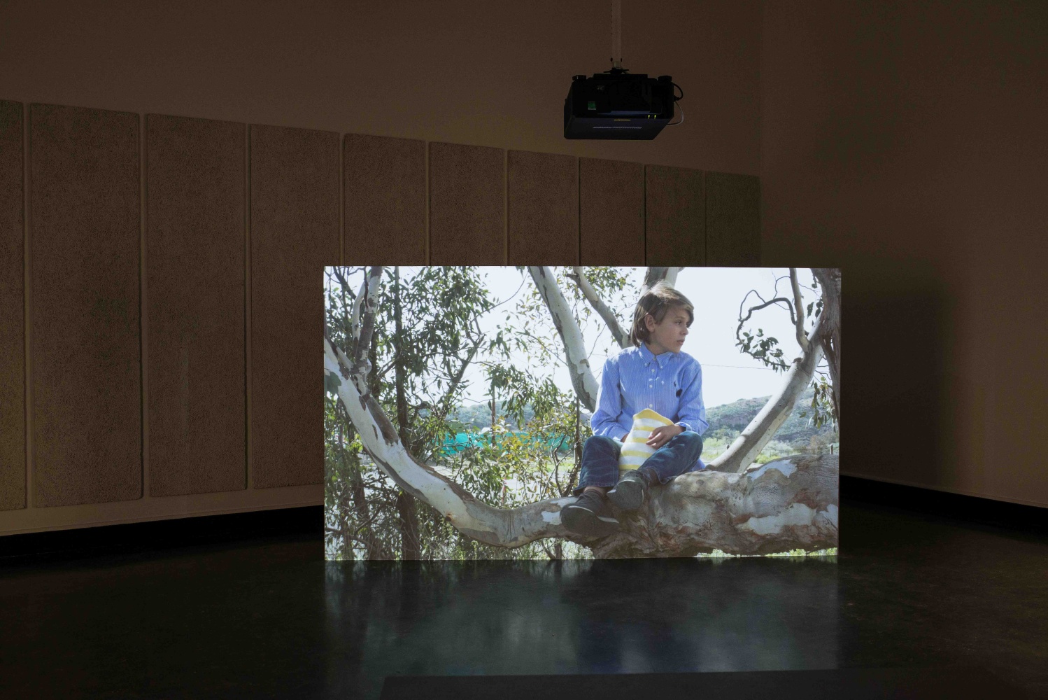 Installation view of video installation by Torbjørn Rødland