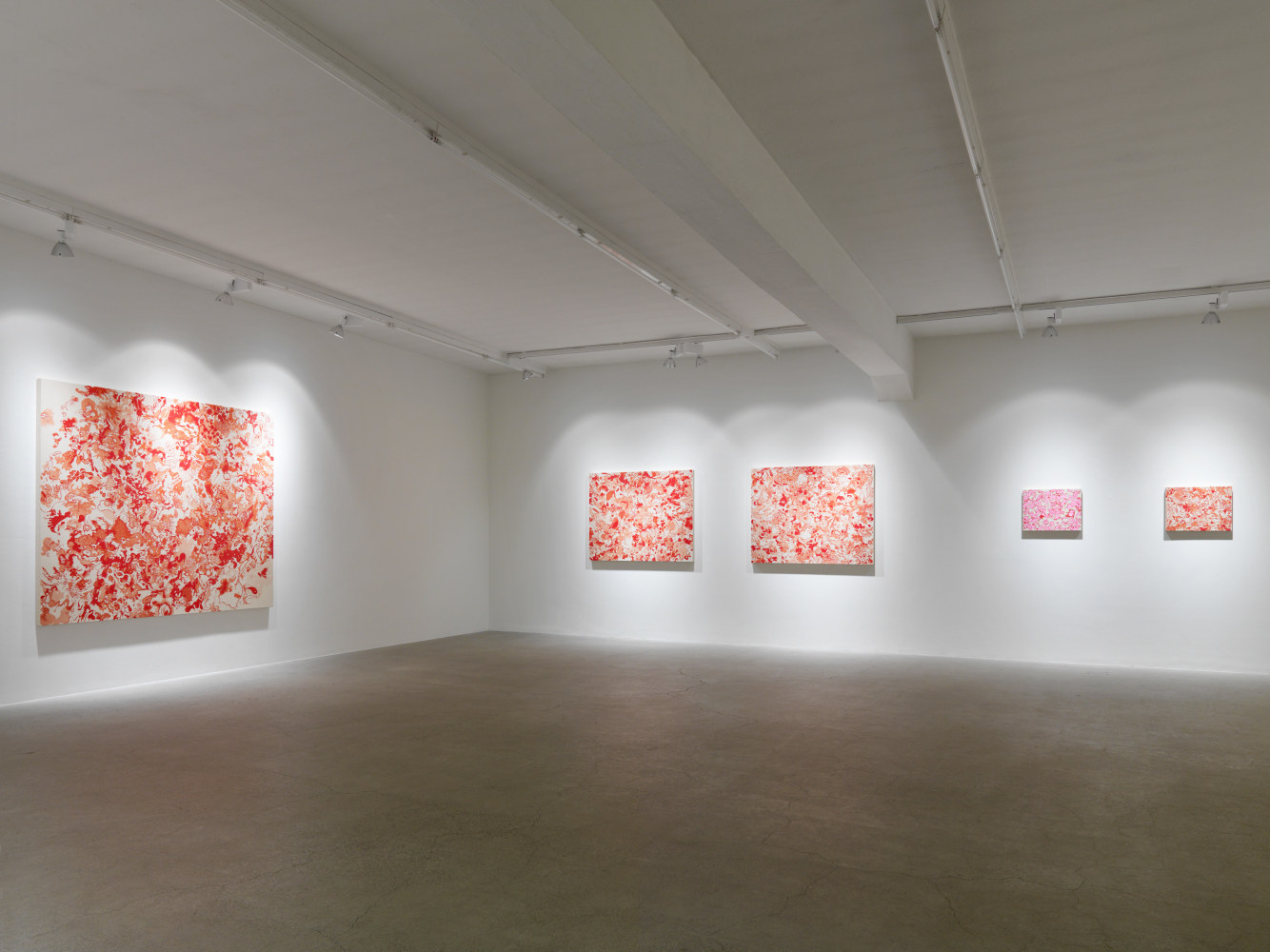 Installation view of Sue Williams painting exhibition