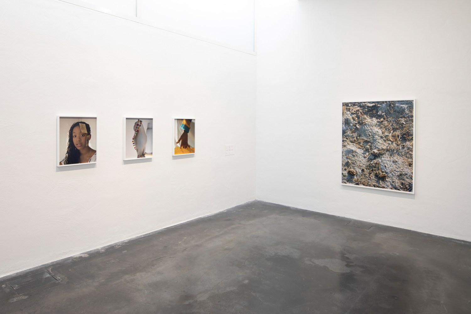 Installation view of photographs by Torbjørn Rødland