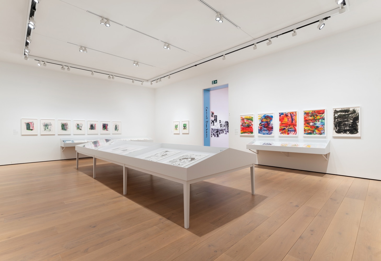 installation view Carroll Dunham Nasjonalmuseet Oslo