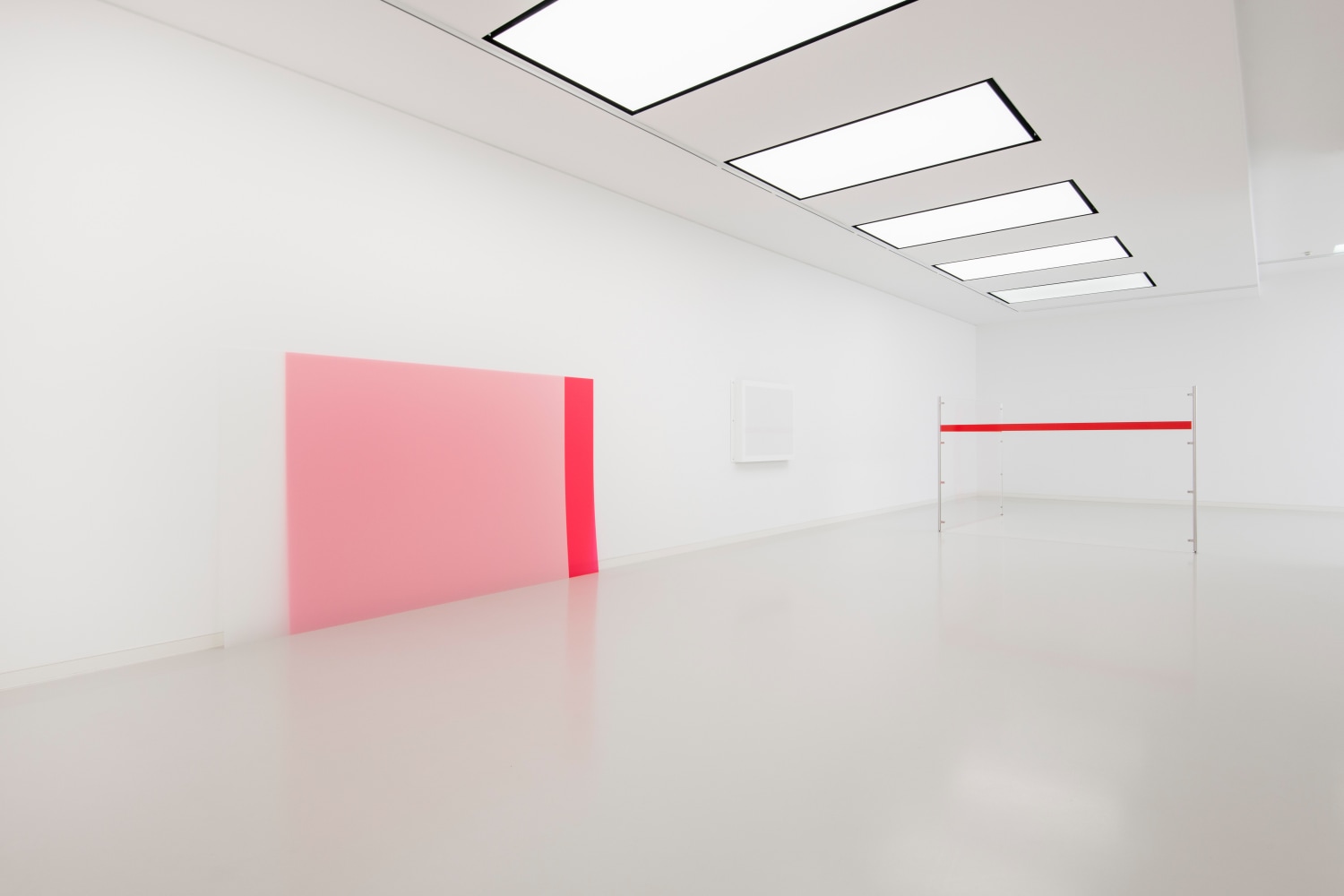 Installation view of wall works by Gerwald Rockenschaub