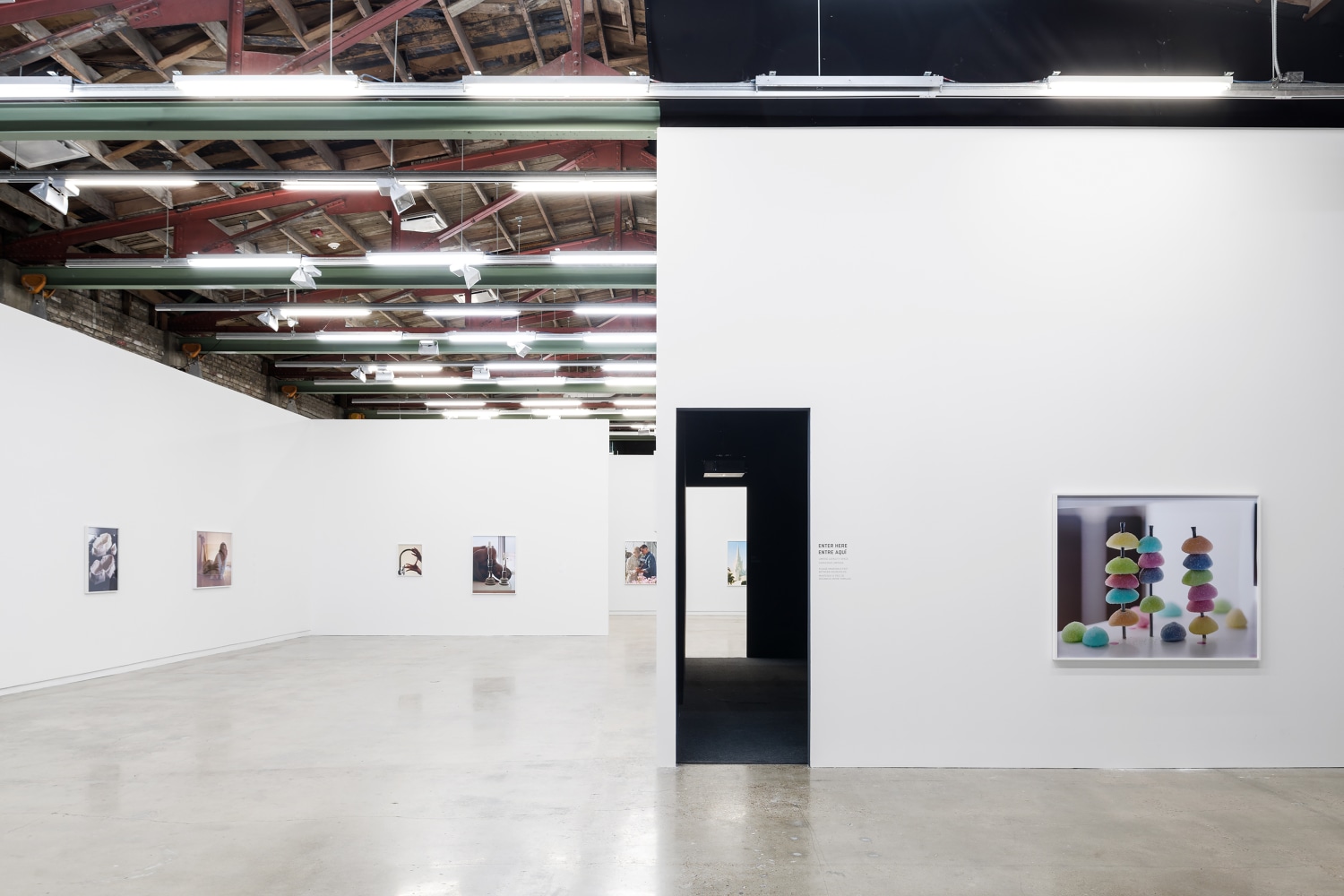 Installation view of photographies by Torbjørn Rødland