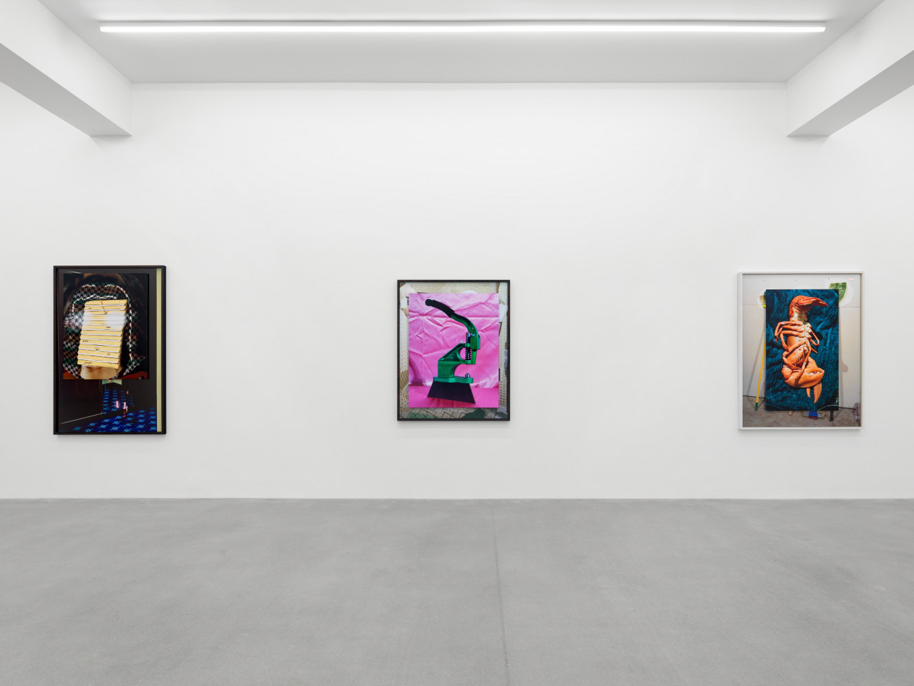installation view of Lucas Blalock