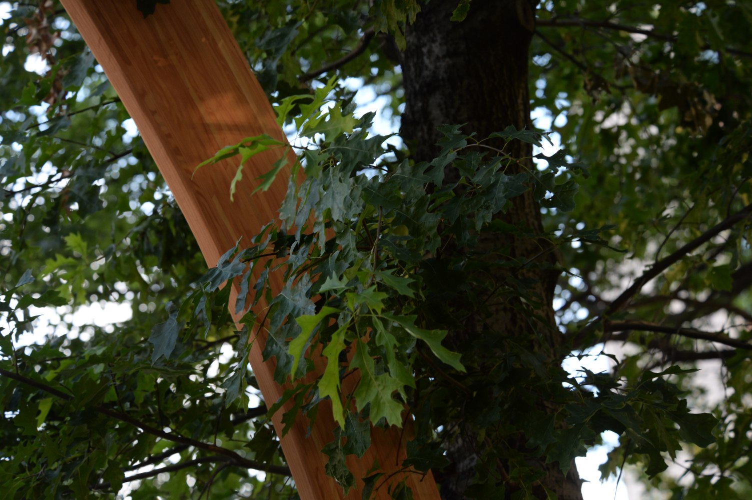 Installation view of sculpture by Oscar Tuazon