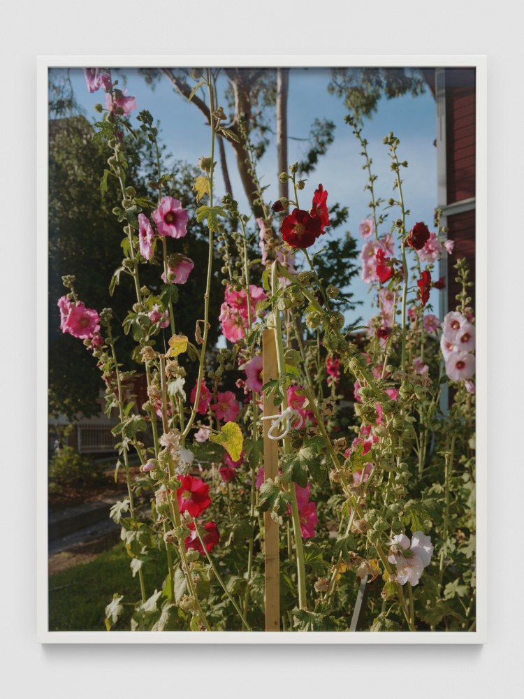 All our Pretty Songs

2021-23

Chromogenic print on Kodak Endura paper

Image 105 x 80 cm / 41 3/8 x 31 1/2 in

Frame 107.5 x 82.5 x 4 cm / 42 3/8 x 32 1/2 x 1 5/8 in

&amp;copy; Torbj&amp;oslash;rn R&amp;oslash;dland