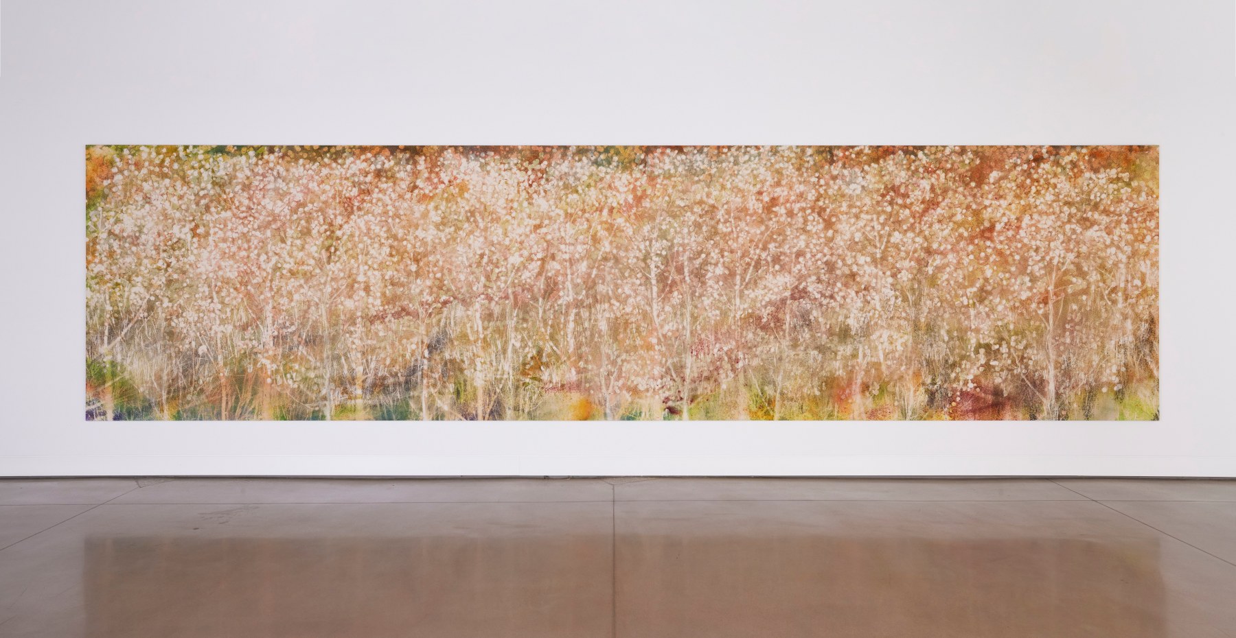 Installation view, Sam Falls, Nothing Without Nature, Cookie Factory, Denver, 2025