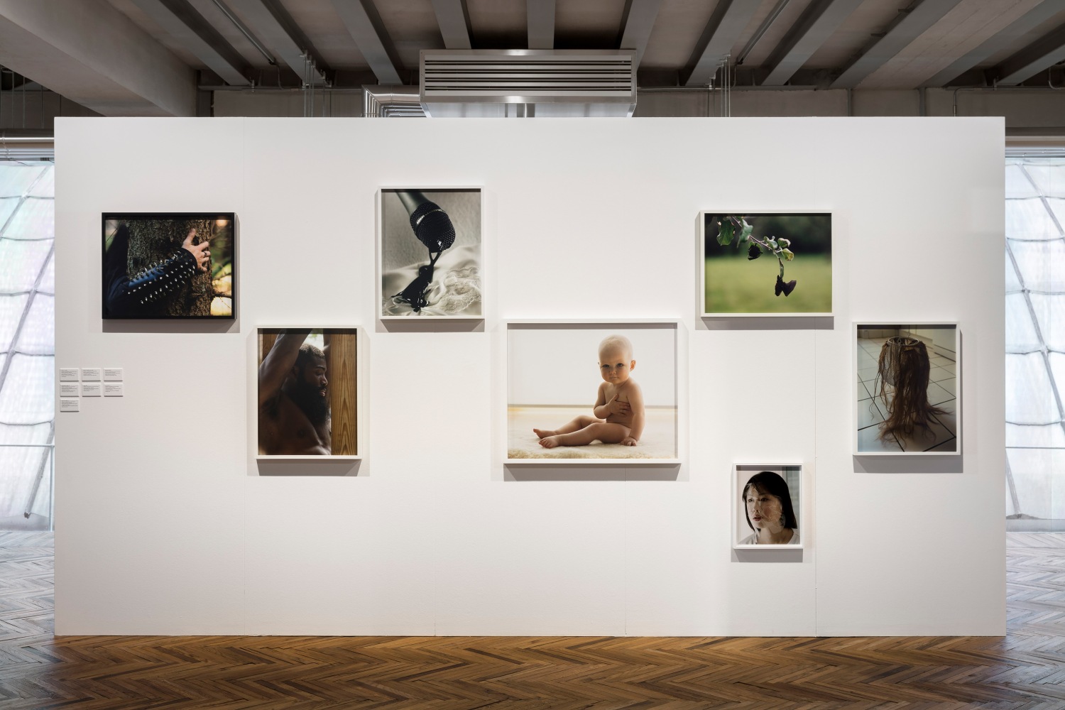 Installation view of photographs by Torbjørn Rødland
