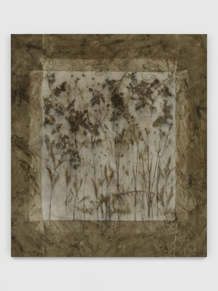 Hope, Summer

2023

Natural dyed canvas (Logwood)

193 x 170 cm / 76 x 67 in

&amp;copy; Sam Falls