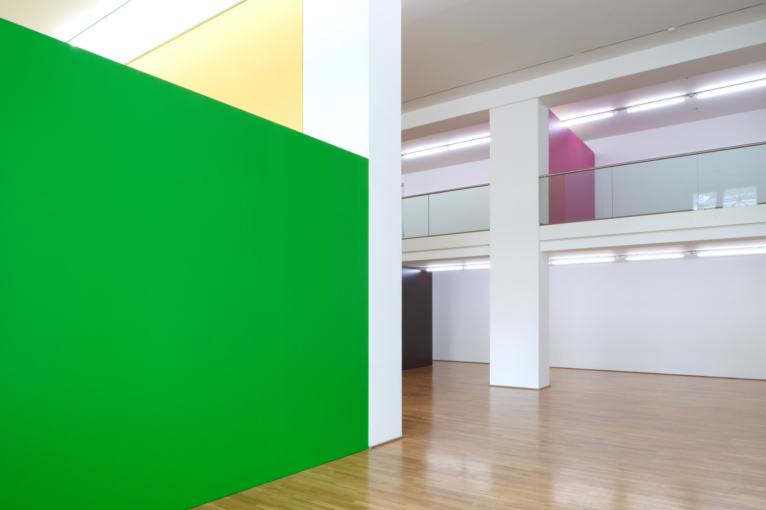 Installation view of wall works by Gerwald Rockenschaub