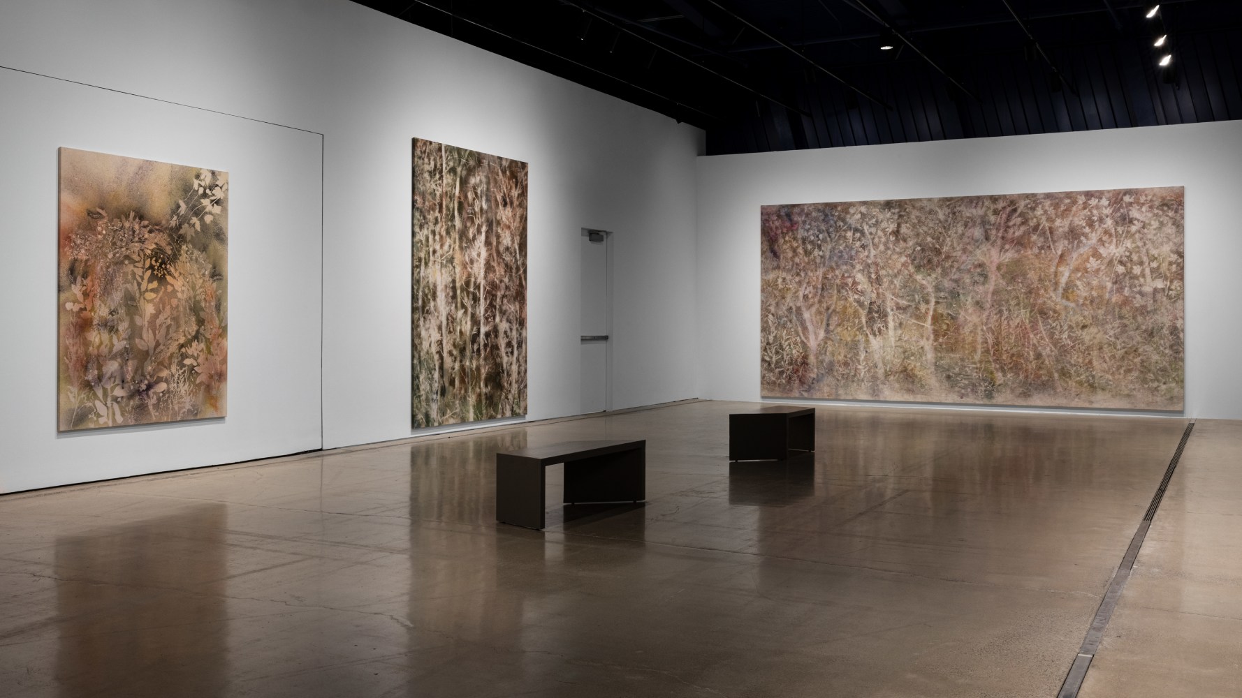 installation view sam falls cleveland