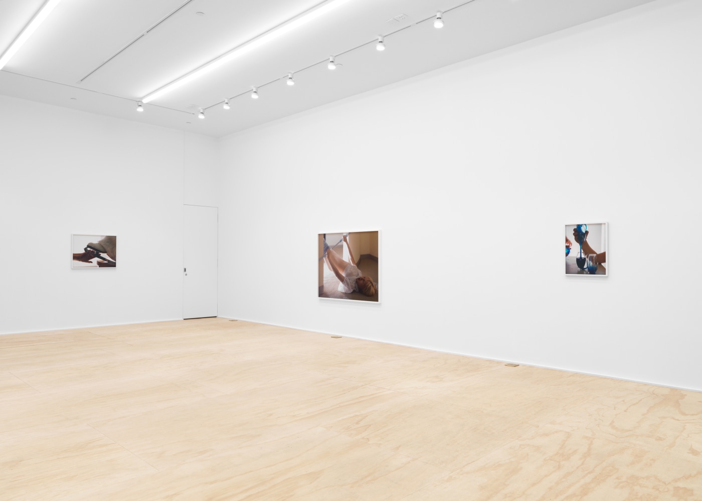 Installation view of Torbjørn Rødland photography and film exhibition