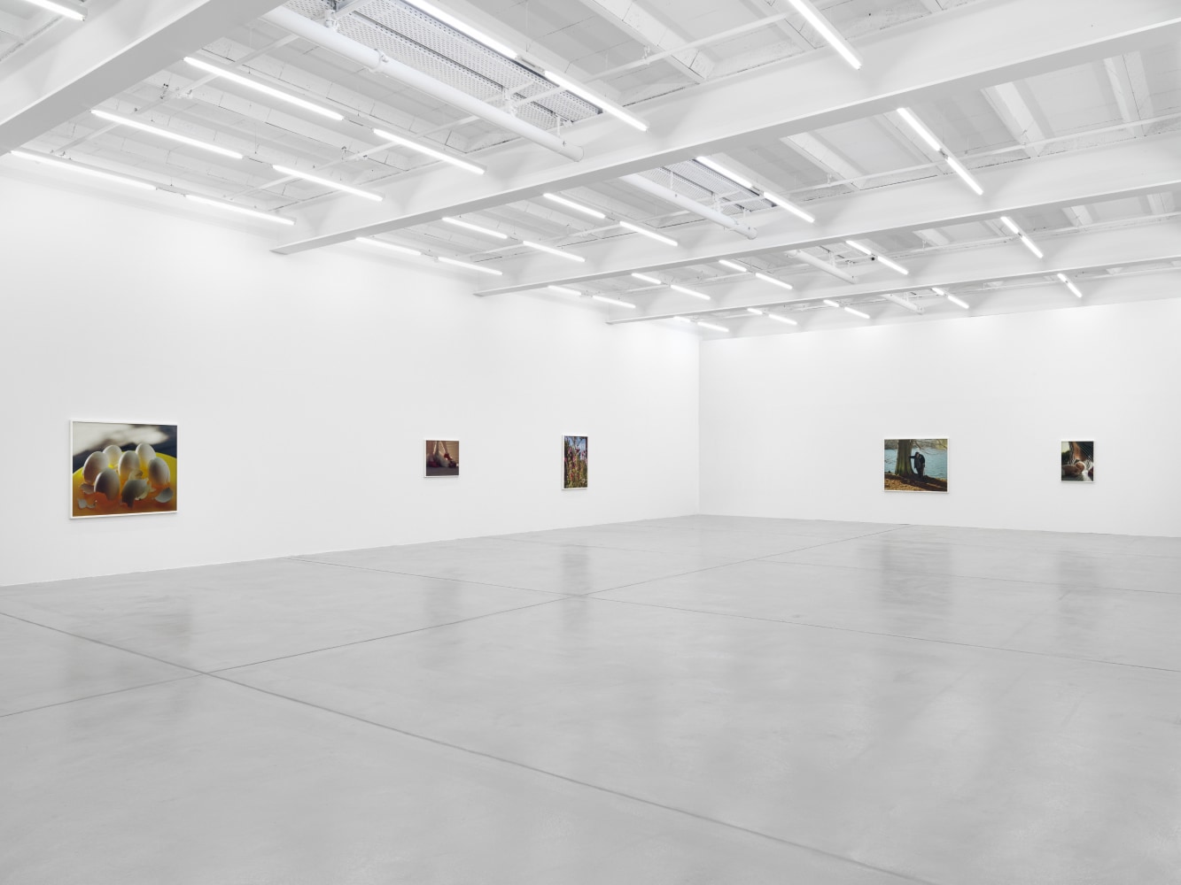 installation view
