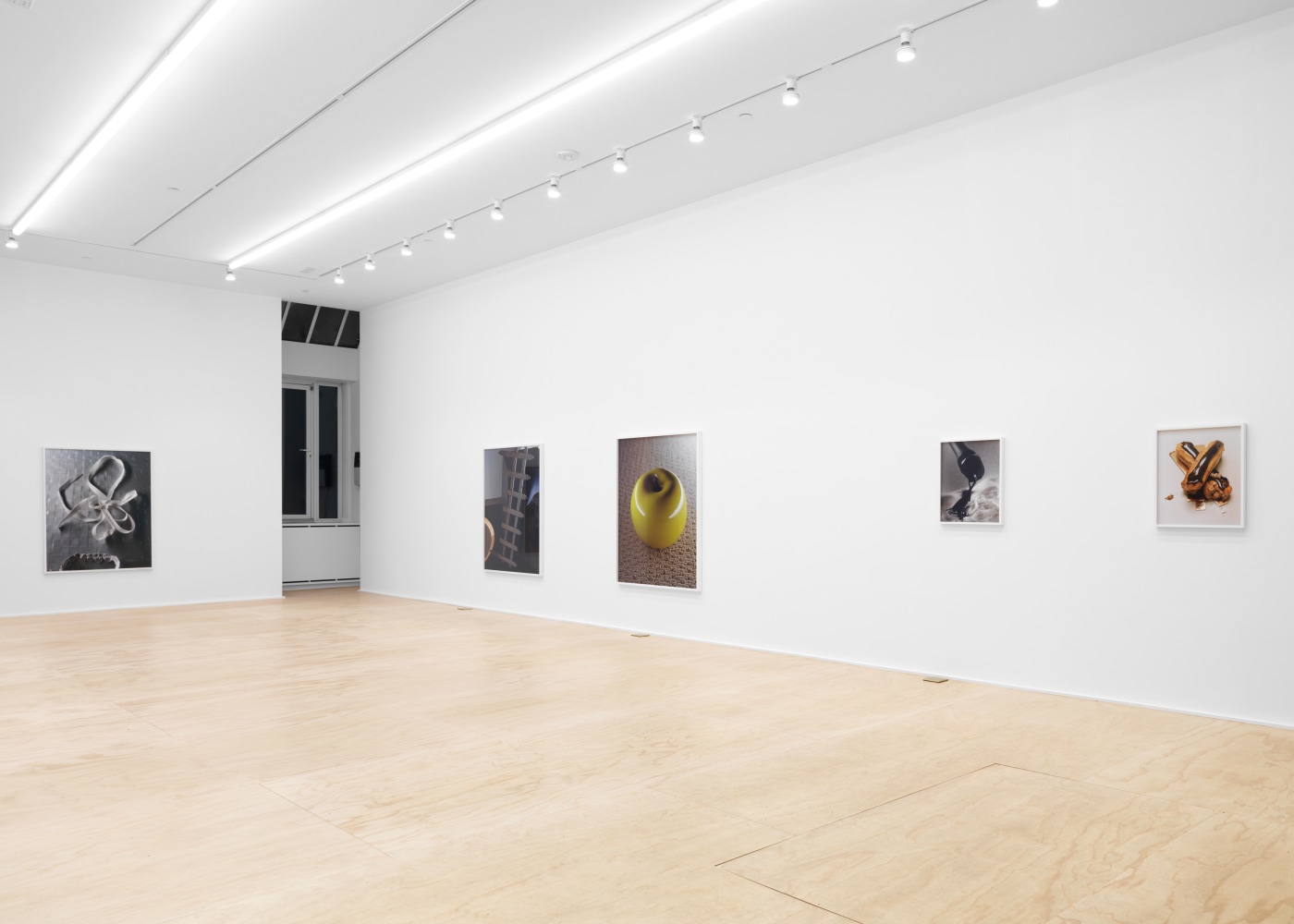 Installation view of Torbjørn Rødland photography and film exhibition