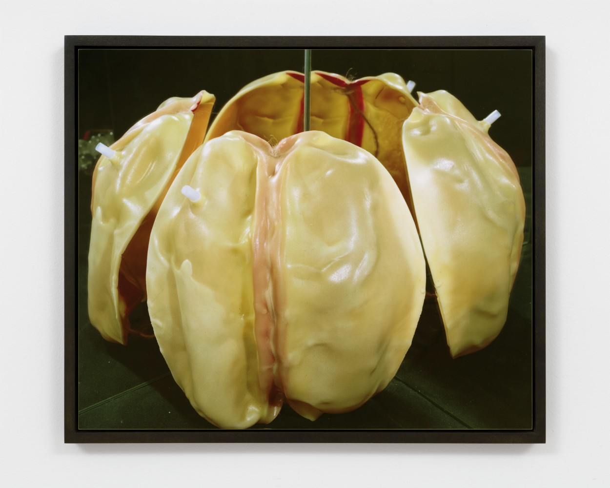 print by Lucas Blalock