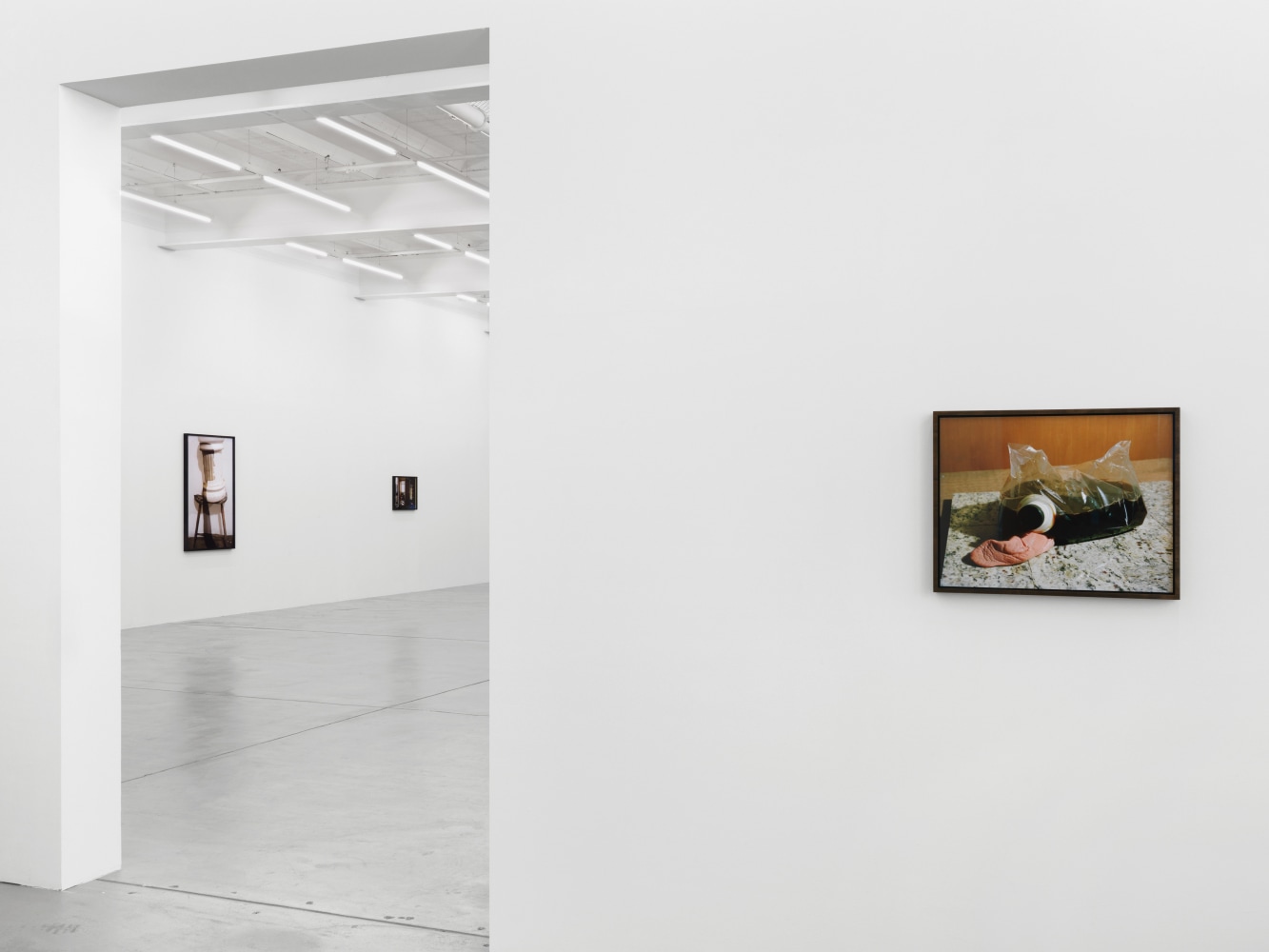 Installation view of Lucas Blalock photography and sculpture exhibition