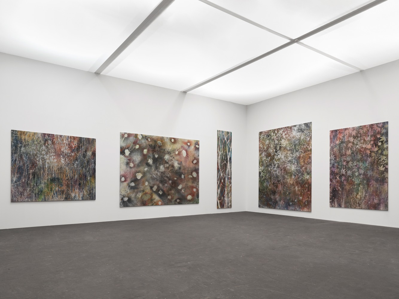 Installation view of paintings by Sam Falls