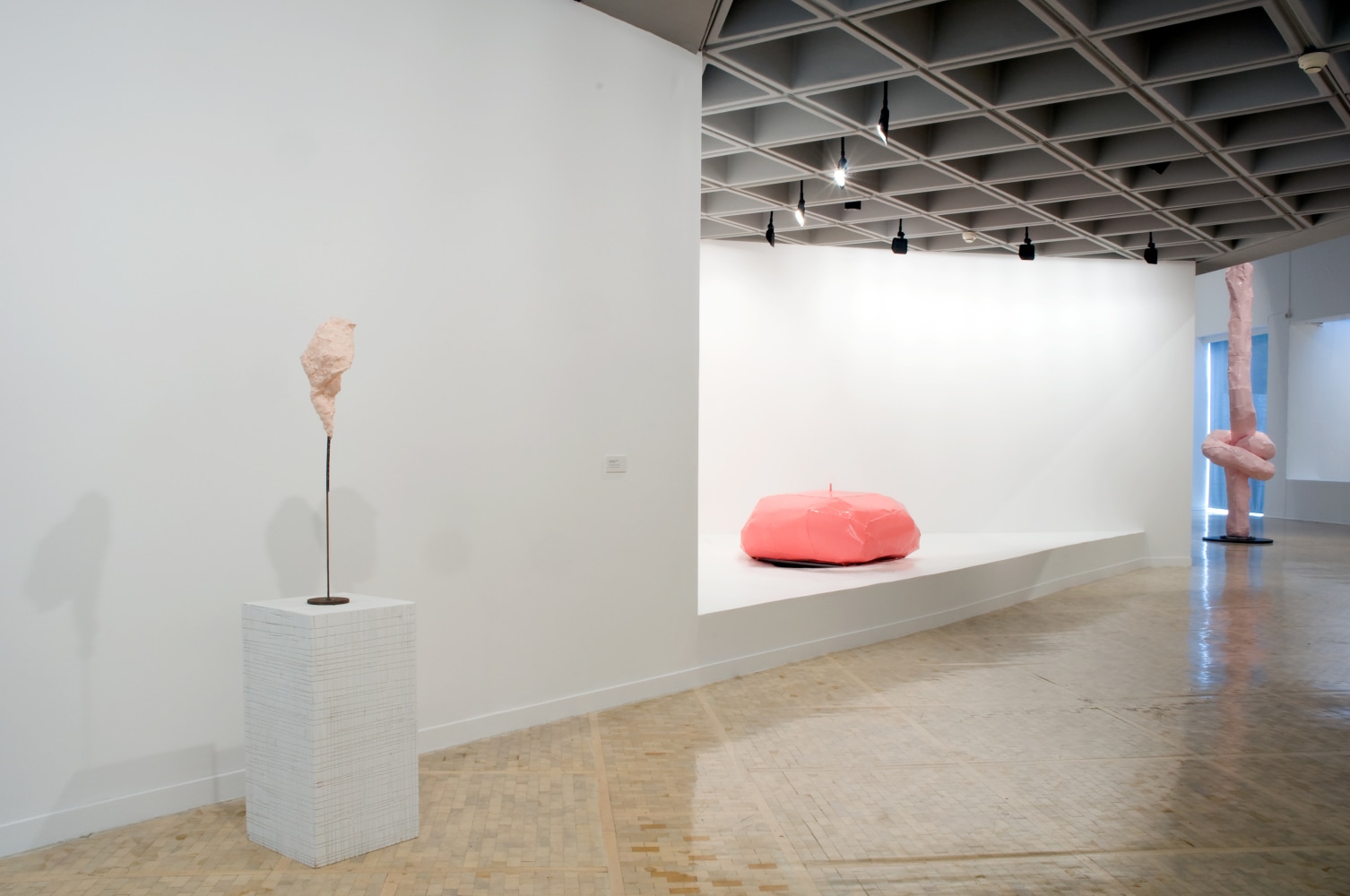 Installation view of works by Franz West