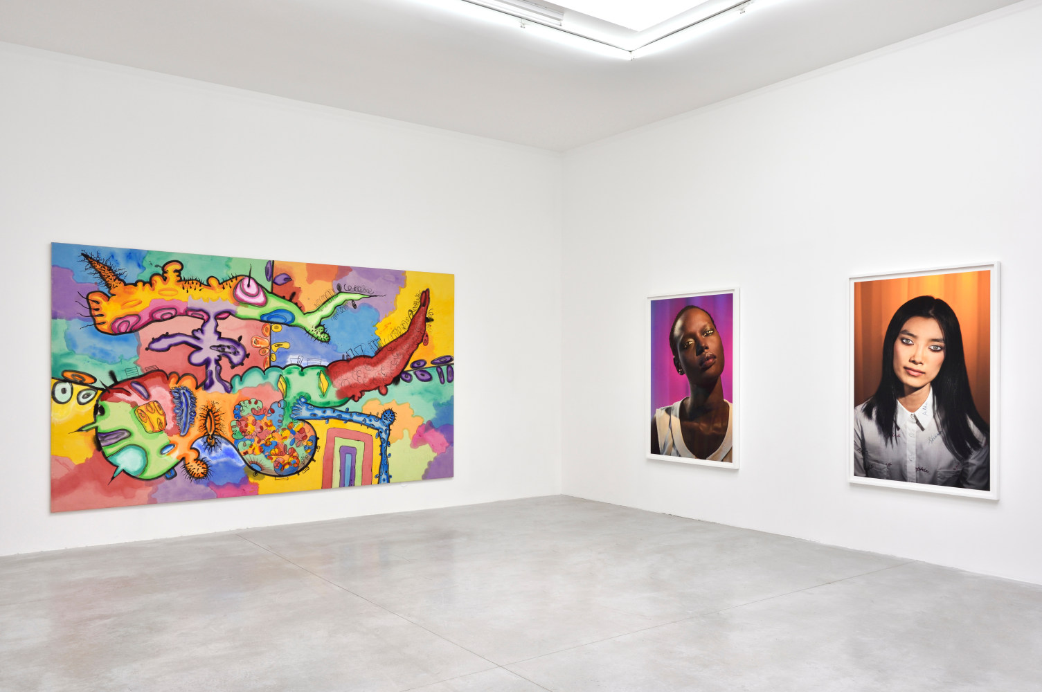 Installation view, Carroll Dunham &amp;amp; Laurie Simmons, Consortium Museum, Dijon, 2024