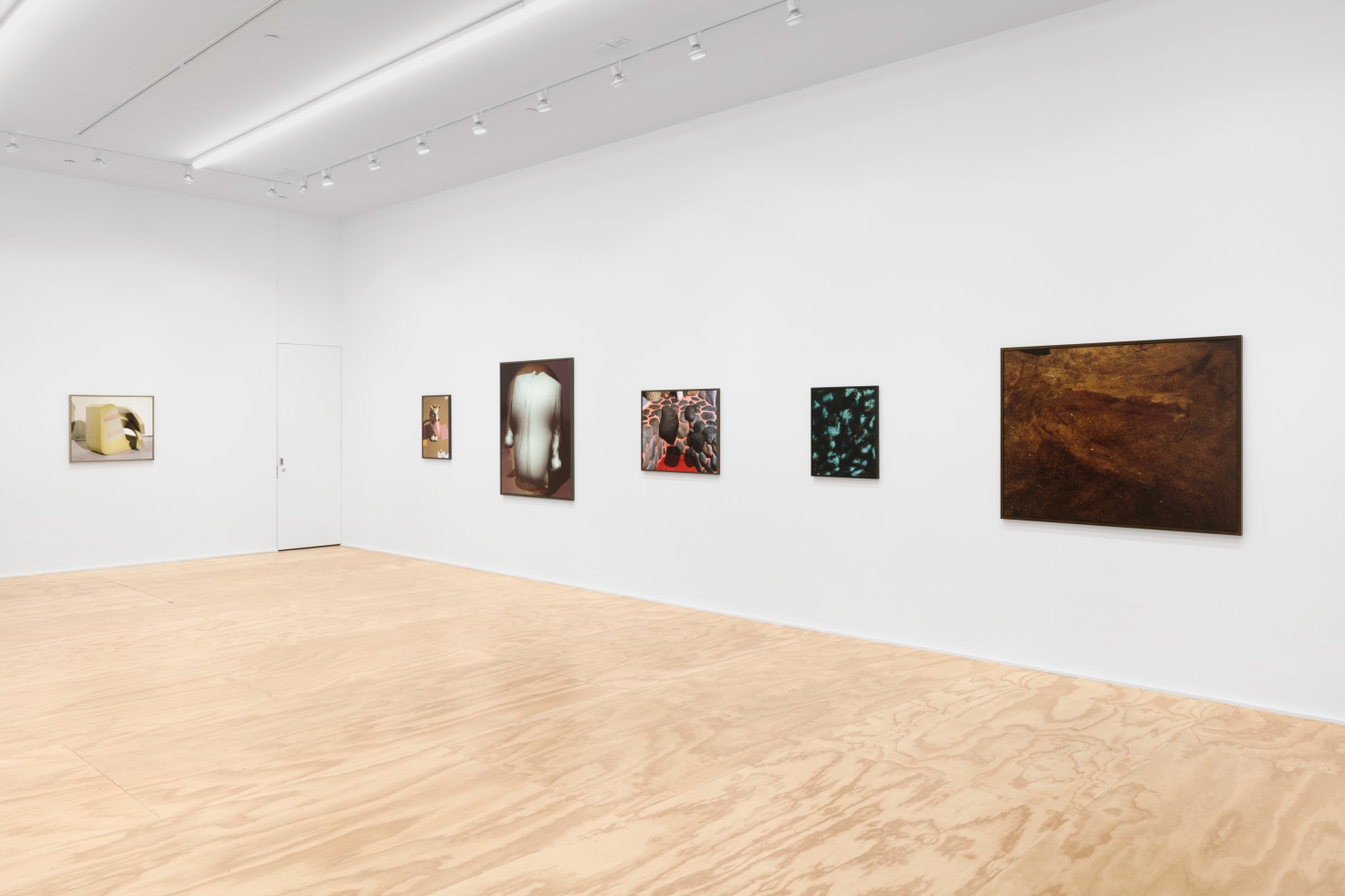 Installation view of Lucas Blalock photography and sculpture exhibition