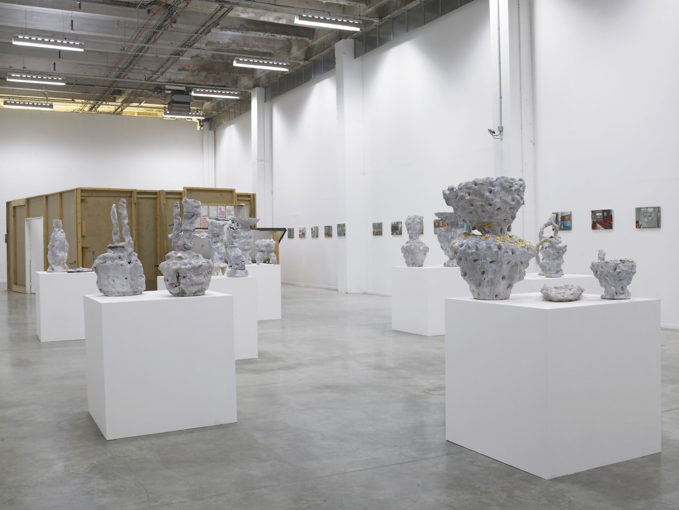 Installation view of works by Jean-Frédéric Schnyder