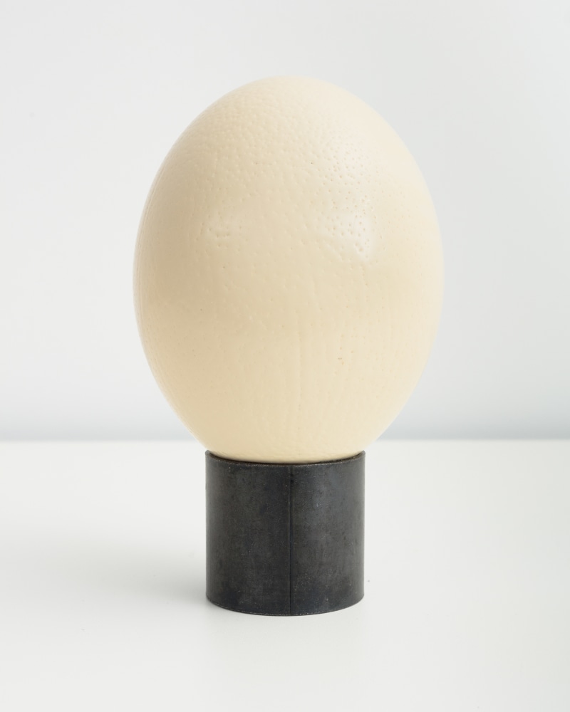 egg sculpture by Sarah Ortmeyer