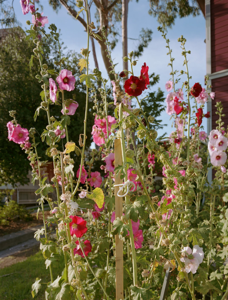 All our Pretty Songs

2021-23

Chromogenic print on Kodak Endura paper, framed

Image 105 x 80 cm / 41 3/8 x 31 1/2 in

Frame 107.5 x 82.5 cm / 42 3/8 x 32 1/2 in

&amp;copy; Torbj&amp;oslash;rn R&amp;oslash;dland