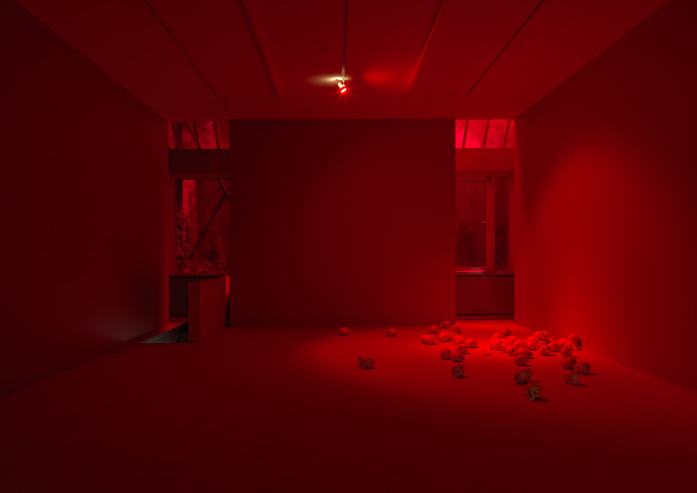 Installation view of Douglas Gordon film and installation exhibition